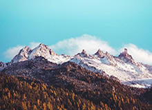 开云体育app：让运动成为日常的新的风景线